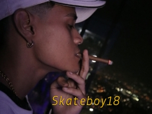 Skateboy18