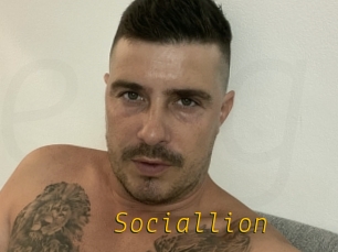 Sociallion