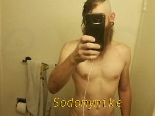 Sodomymike