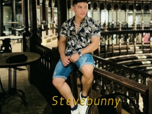 Stevebunny