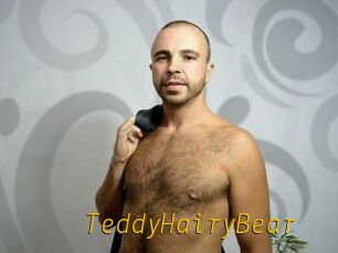 TeddyHairyBear