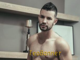 TeoBanner