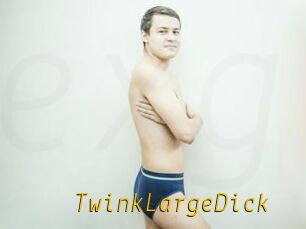 TwinkLargeDick