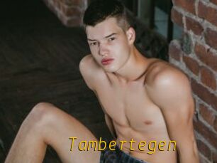 Tambertegen