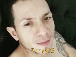 Torvy23