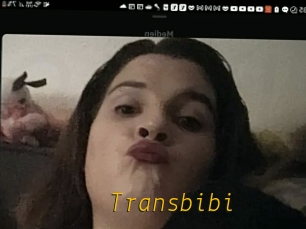 Transbibi