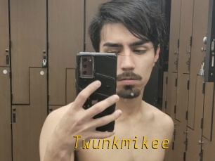 Twunkmikee