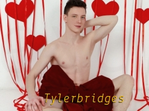 Tylerbridges