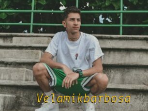 Velamikbarbosa