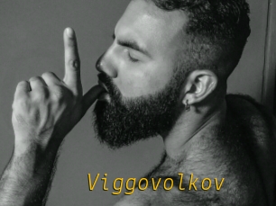 Viggovolkov