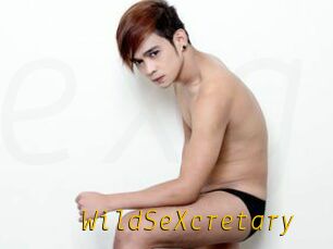 WildSeXcretary