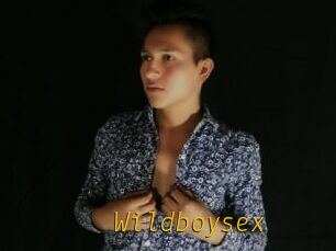 Wildboysex