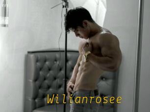 Wilianrosee