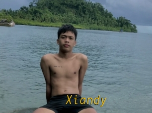 Xiandy