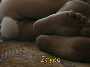 Zayka