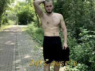 Zefs_muscle