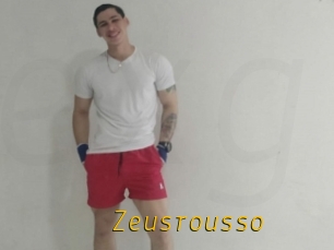 Zeusrousso