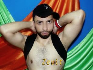 Zevit